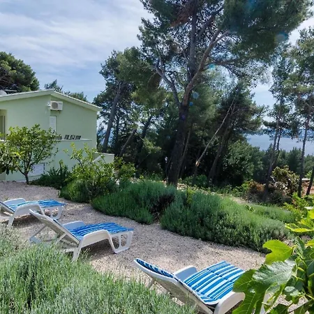 Ferienwohnung Fuer 5 Personen Ca 65 Qm In Stankovic Bei Orebic, Dalmatien Sueddalmatien * Jurjevic